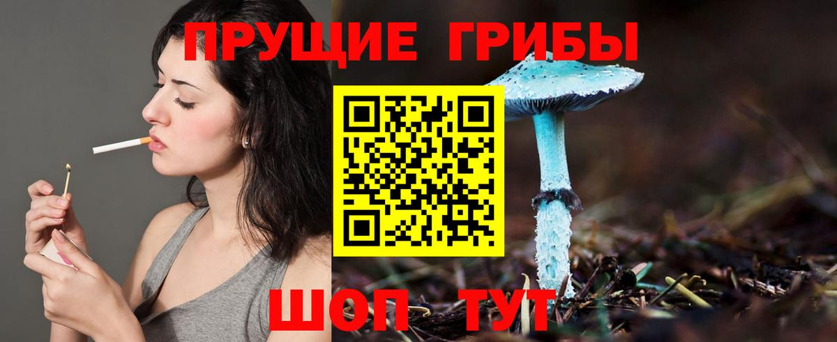 Славянск-на-Кубани  Псилоцибиновые грибы Magic Shrooms  Вход с VPN 